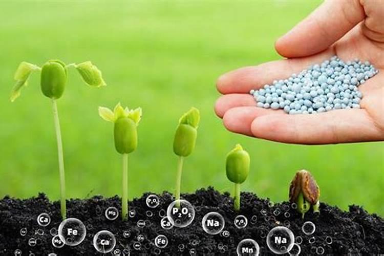 中量元素水溶肥的作用与功效 中量元素水溶肥什么时候用合适