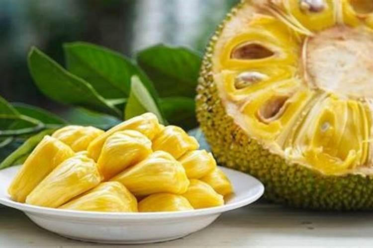 菠萝蜜需要什么肥料
