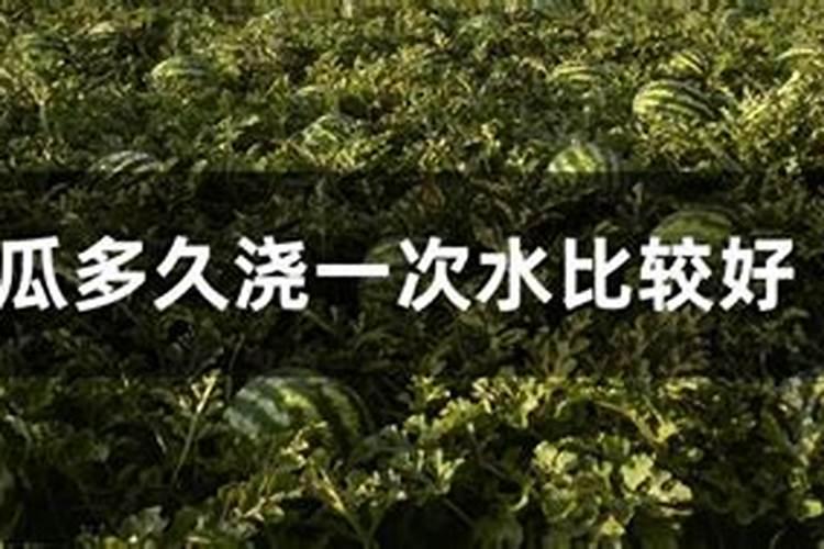 西瓜在不同生长阶段该如何把控浇水的量和频率,又怎样进行追肥？