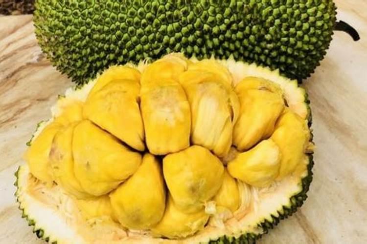 菠萝蜜盆栽的栽种方法有哪些？
