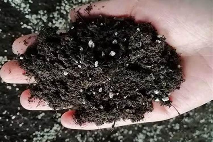 种菜地底肥用什么肥料最好