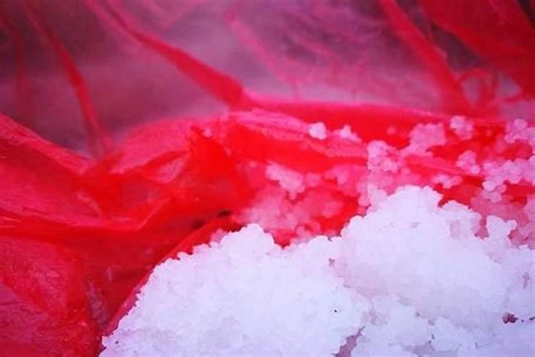 朱焦需要水培生根再土培吗