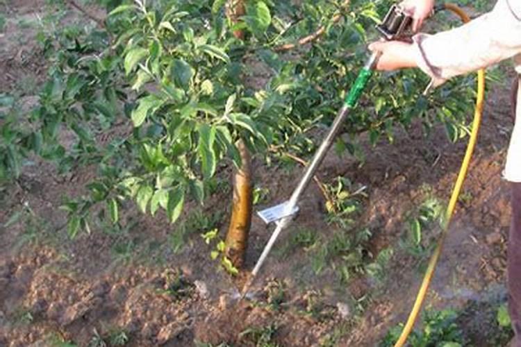 水肥一体化应用的主要技术及方法 什么是水肥一体化