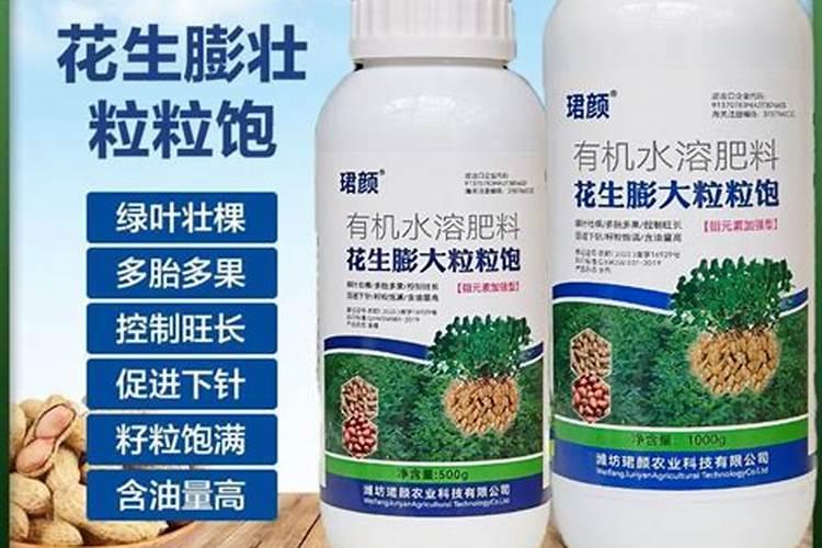 长寿花施肥的方法？