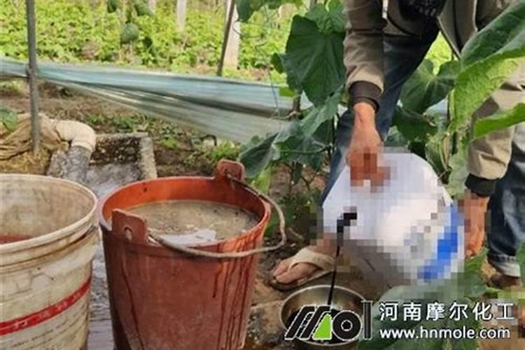 中量元素水溶肥使用方法