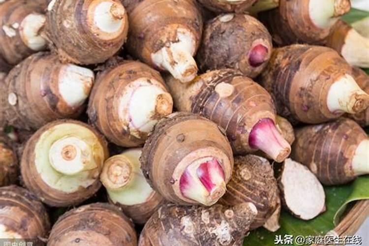 芋头施肥有禁忌,有哪些肥料不适合给芋头使用？