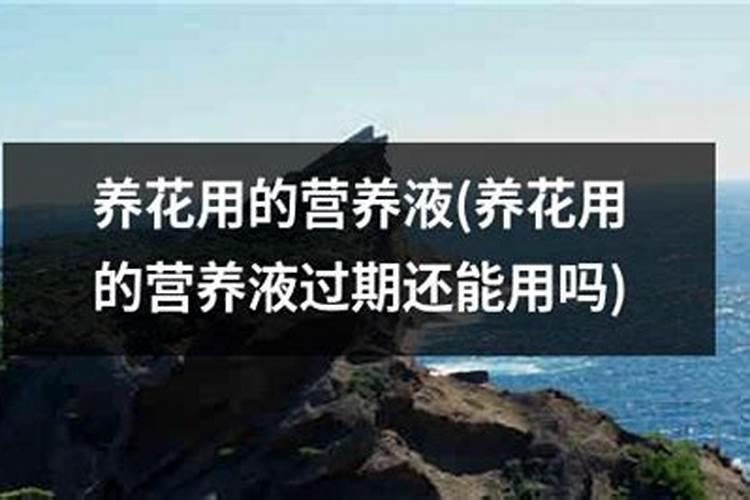 富贵竹的营养液可以给其他花用吗
