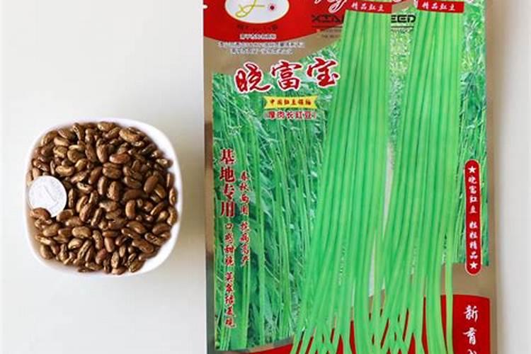 豇豆种子能直接撒在底肥上吗？