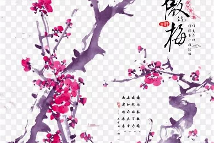 目前国内比较有名的蓝莓酒品牌有哪些？