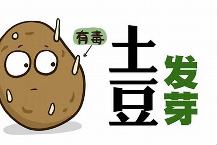 土豆用什么肥料高产