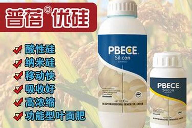 硅肥的原料和工艺分哪些,有哪位专家知道,求告知