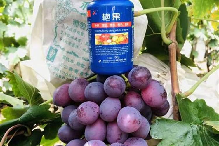 碳酸铵是氮肥吗