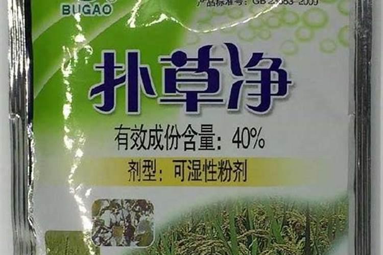 青菜施什么肥最好