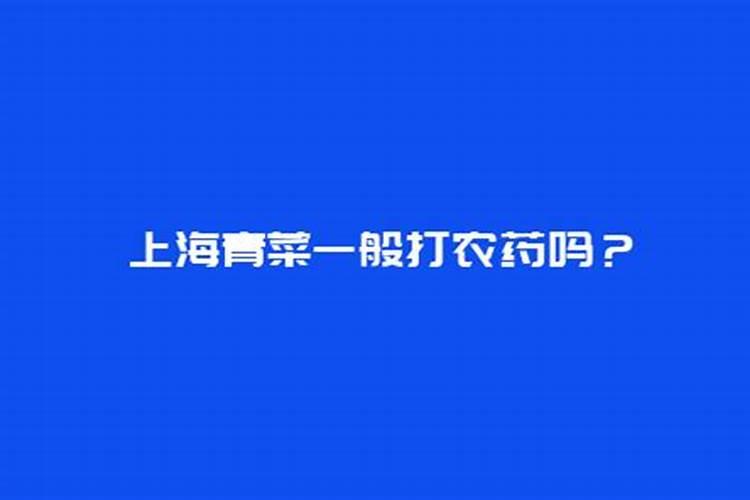 青菜施什么肥最好