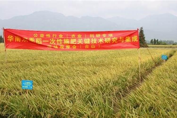 东北水稻施肥方法和用量有哪些