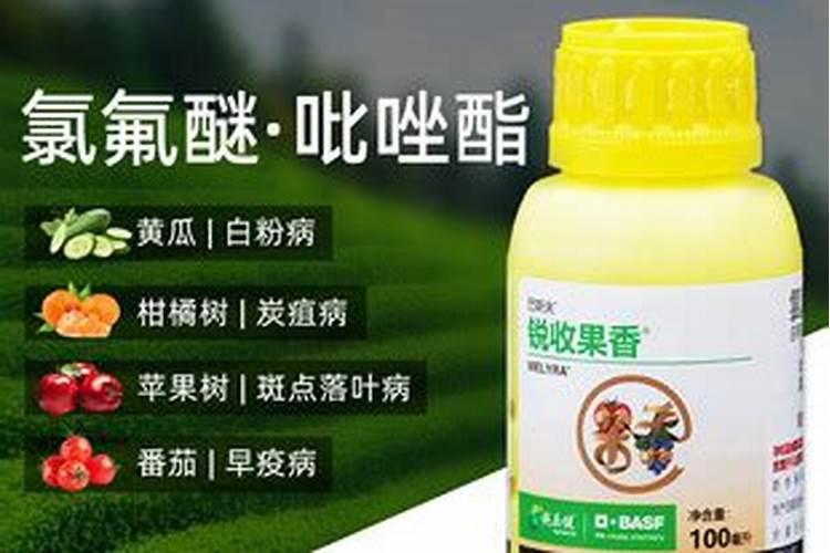 锐收谷瑞杀菌剂的使用方法