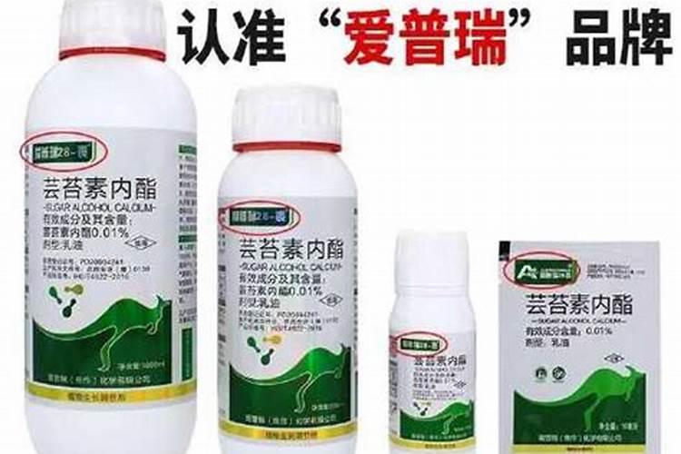 枇杷树施什么肥料