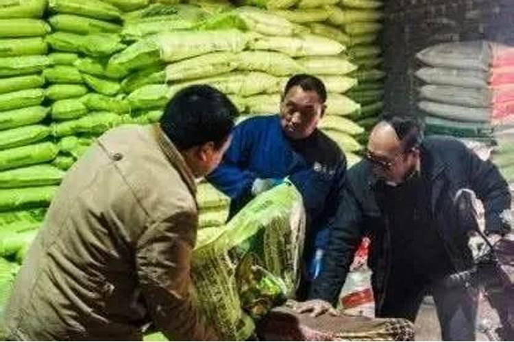 哪里能买到正品磷酸二氢钾肥料