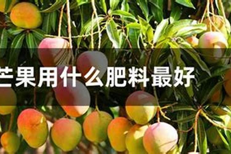 南瓜开花结果需要什么肥料