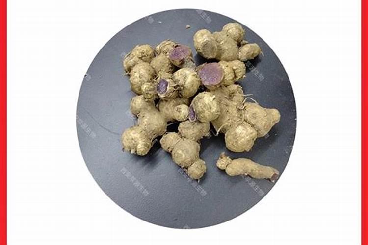 种植一亩生姜,一年要用多少水？