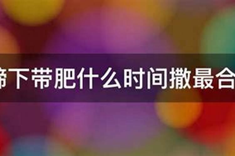 镁肥有哪些