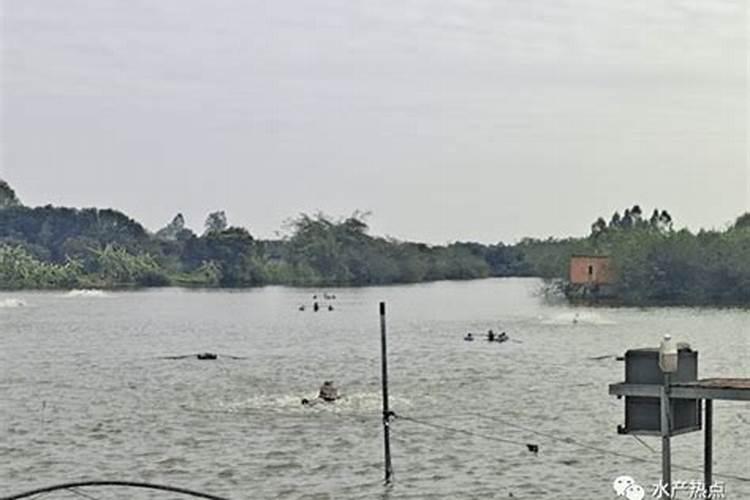 磷肥一亩地施多少 进来看看