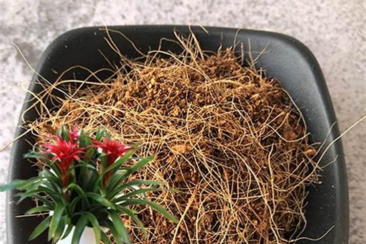 如何科学补钙更利于钙吸收