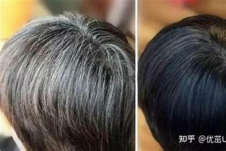 孔雀鱼怀孕拉屎很长一条线