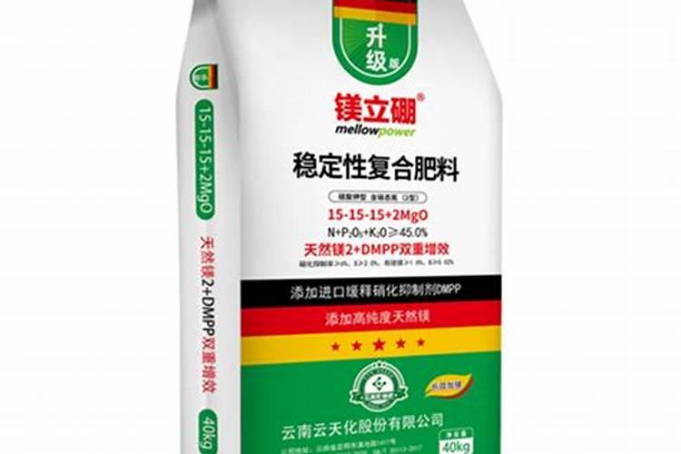 杨梅膨果肥用什么肥最好(杨梅膨果期施什么肥料又大又甜)