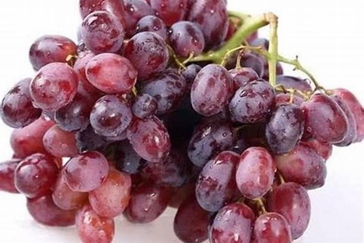 葡萄结果后什么时间施肥最好？有什么说法呢