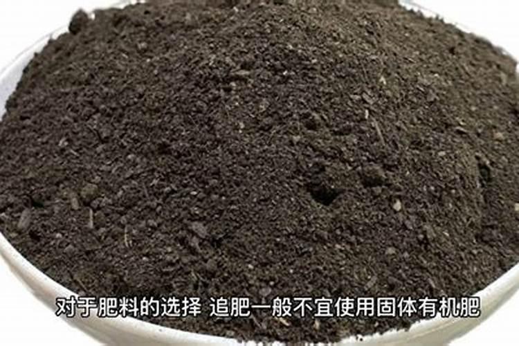 种蔬菜怎样施底肥