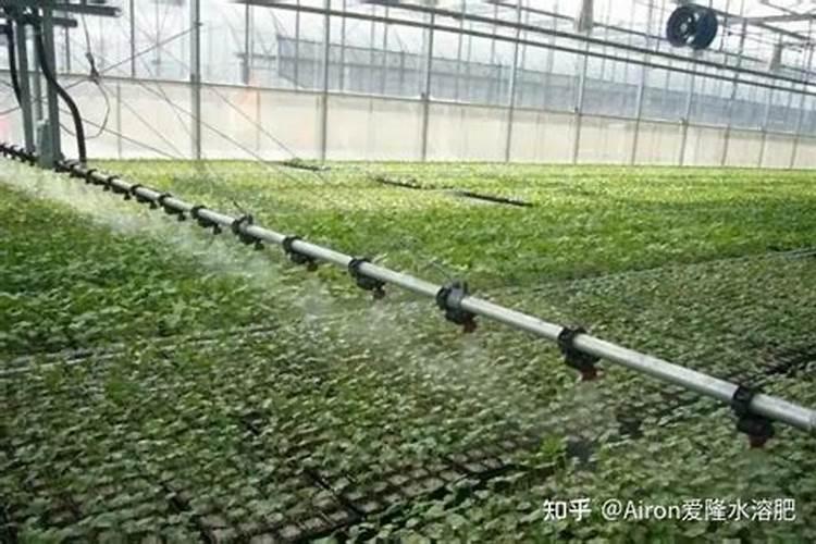 水溶肥种类