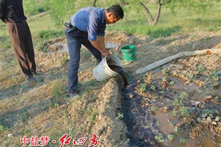 腐植酸钠(钾)的生产方法和工艺流程是什么？