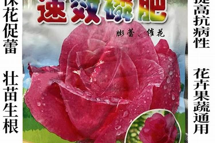 骨粉适合什么花当肥料、骨粉肥的注意事项