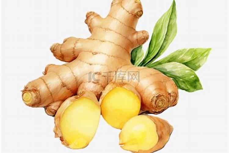 怎样给茶叶喷施叶面肥？ 敌百虫90%高效杀灭作物害虫小国家