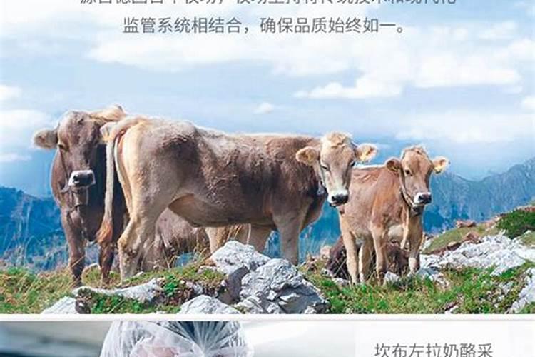 高钾大量元素水溶肥哪个牌子的比较好,