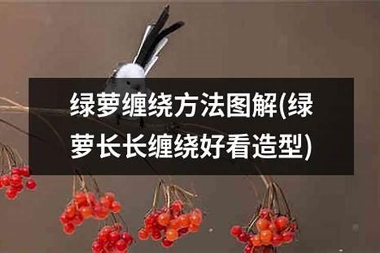 玉米用掺混肥好还是用复合肥好(种植玉米用什么复合肥好)