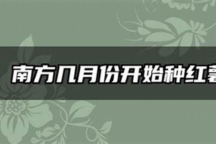 硼肥对红薯有什么作用 最佳使用时间