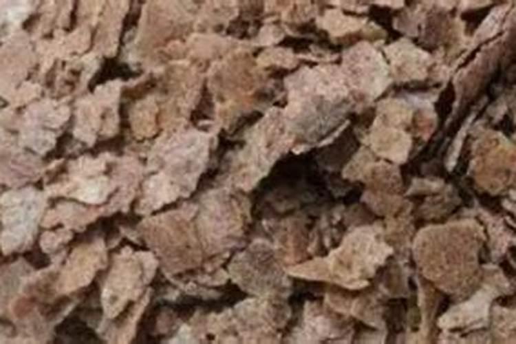 油饼肥料正确使用方法