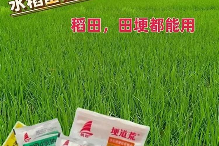 水稻什么时候施钾肥,钾肥对水稻的作用