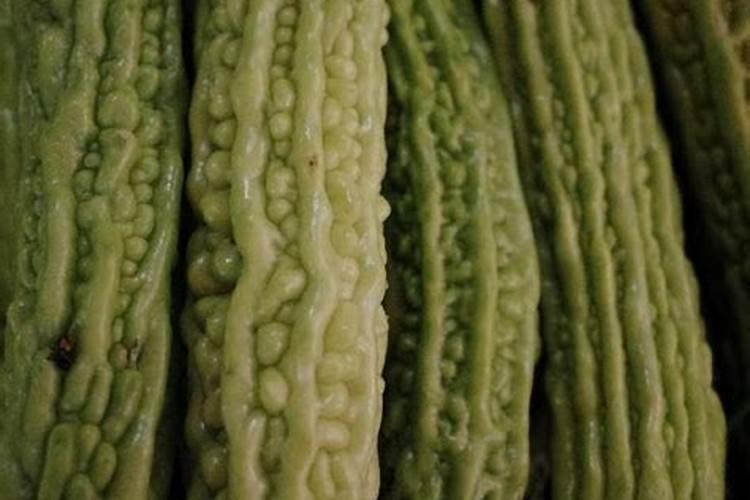 复合肥如何给植物使用 复合肥怎么给植物使用