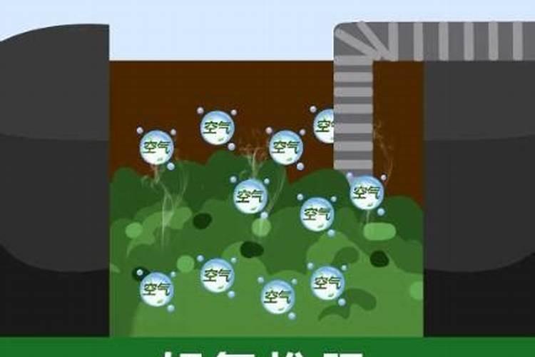死鱼怎么样发酵可以做水肥？