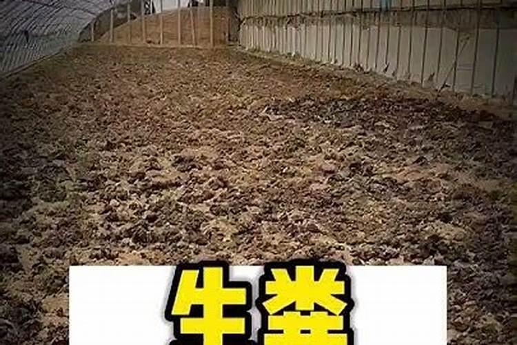 鸟粪可以做肥料吗