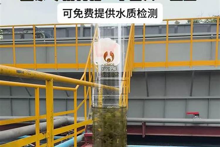铁树施肥方法与注意事项 铁树施肥方法与注意事项有哪些