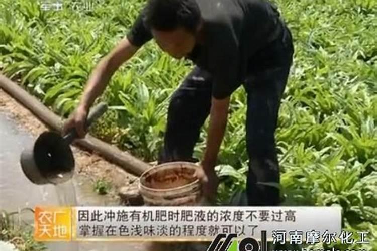 水容肥给果树多久施肥一次