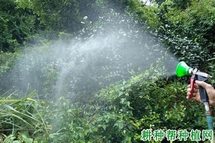 硼锌铁镁肥的用法用量