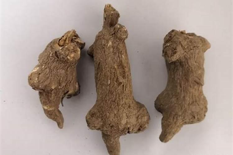 白术可以重茬种吗要隔几年牡丹地可以牙种白术吗？