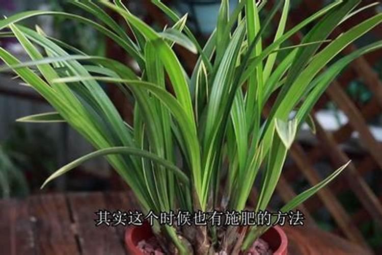 荷花、牡丹、兰花、梅花、菊花和桂花的象征？