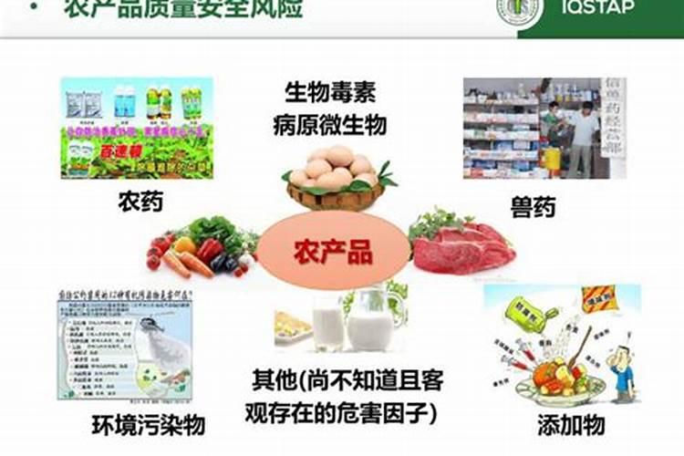 农业专业技术业务能力是什么
