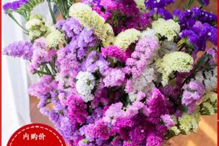 福建智慧农业示范基地有哪些